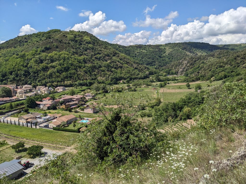 Vallée de l'Ance, affluent de rive droite du Rhône où l'on peut observer les vignes en pied de coteaux. Par leur extension, celles-ci menacent l'existence de l'Alysson du Rhône. Un plan national d’actions en faveur de l’Alysson du Rhône a été institué, piloté par le CBNMC. Il vise à préserver ce taxon en développant le dialogue avec les viticulteurs et les communes concernés.