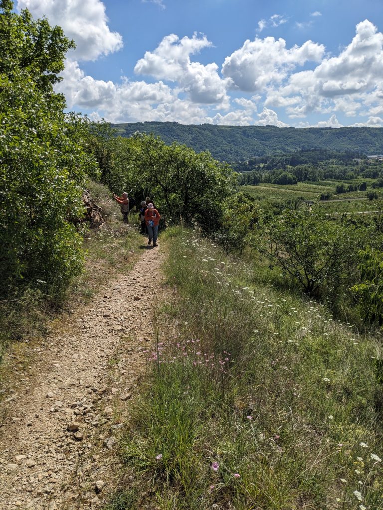 Agréable journée ensoleillée sur les coteaux dominant la vallée du Rhône.